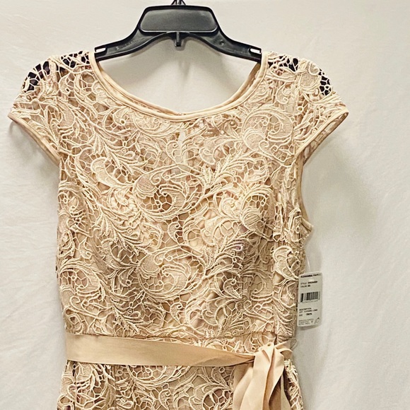 Adrianna Papell Lace with Waist Tie Long Gown - Picture 6 of 16